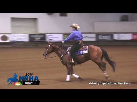 Hickorys Baylite ridden by Karen E Shedlauskas - 2014 NRHA Derby(Nov. Horse NP - Show 2)