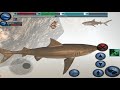 Great White Shark VS Orca Whale Fangtooth Fish Of The Abyss Ultimate Shark Simulator