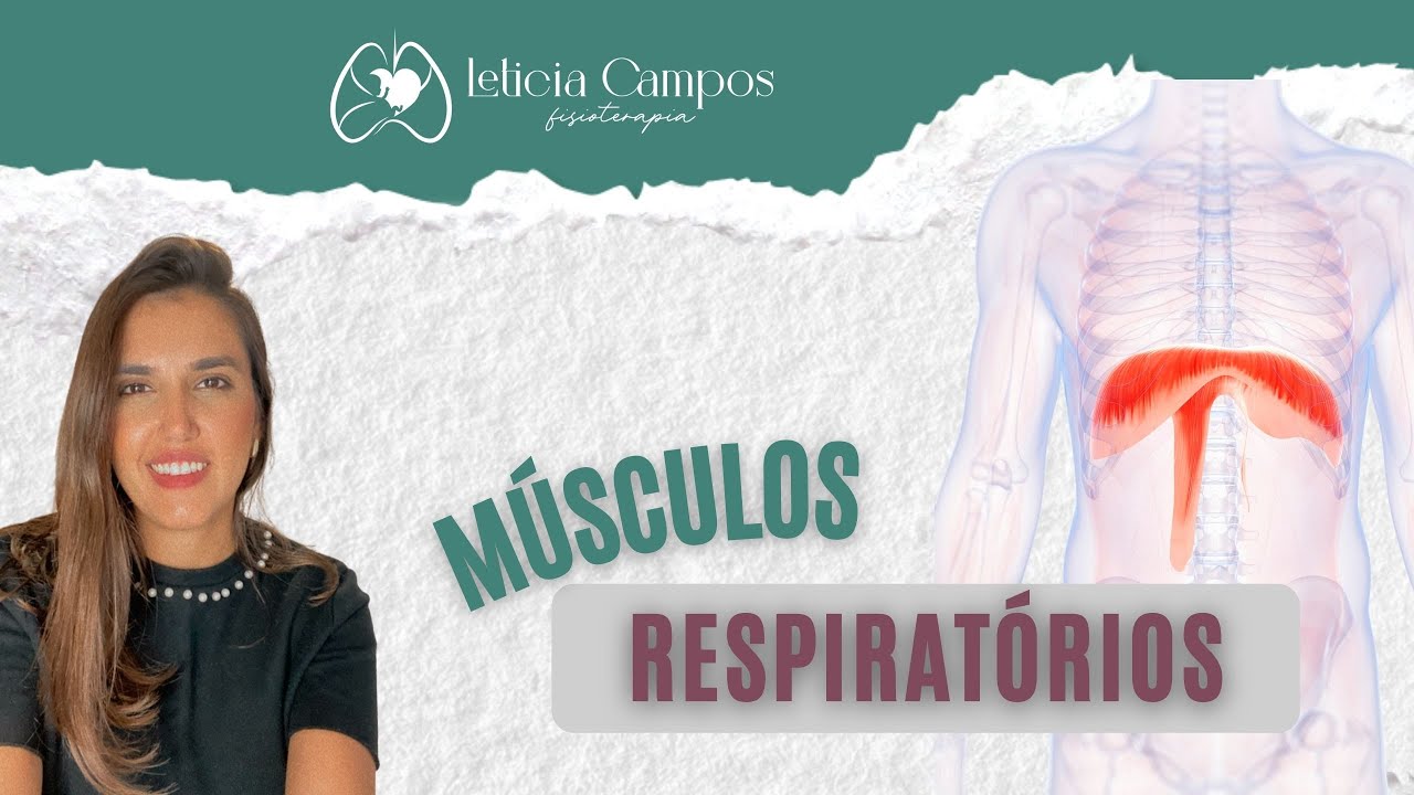 Músculos respiratórios da inspiração e da expiração