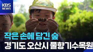 [뉴스광장 영상] 작은 손에 담긴 숲 / KBS 2026.06.27.