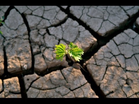 ⁣موانع الإيمان الحق | الشيخ عبدالله دشتي