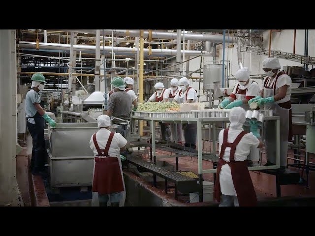 imagen-video-thefoodtech