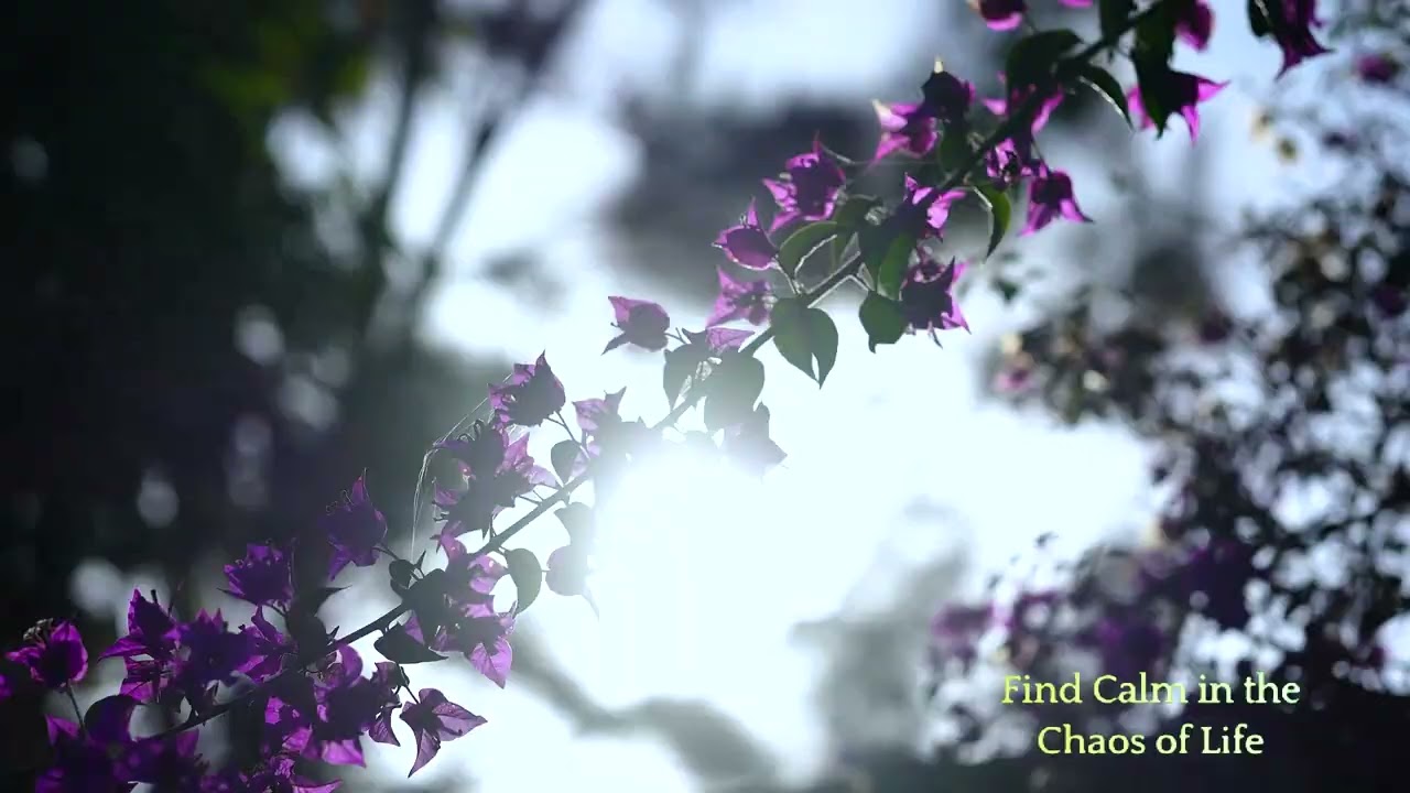 Exploring Indian Meditation Music on YouTube