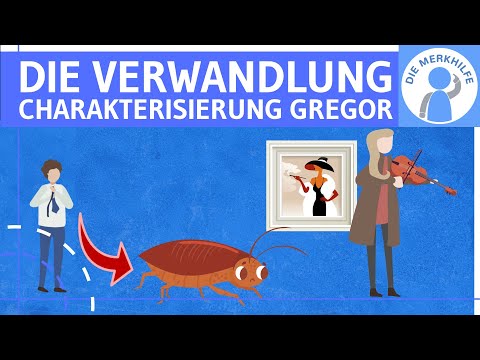 Die Verwandlung (Kafka) - Charakterisierung Gregor Samsa (als Mensch, Käfer & während Verwandlung)
