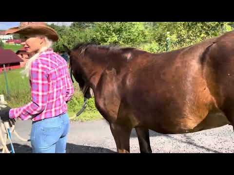 Harry a Míša - Jak na koně který s vámi zametá? více info popisku videa:)