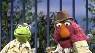 Sesame Street - Kermit and Telly report on cooperation