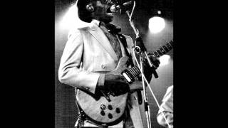 J.B Hutto - Shy Voice