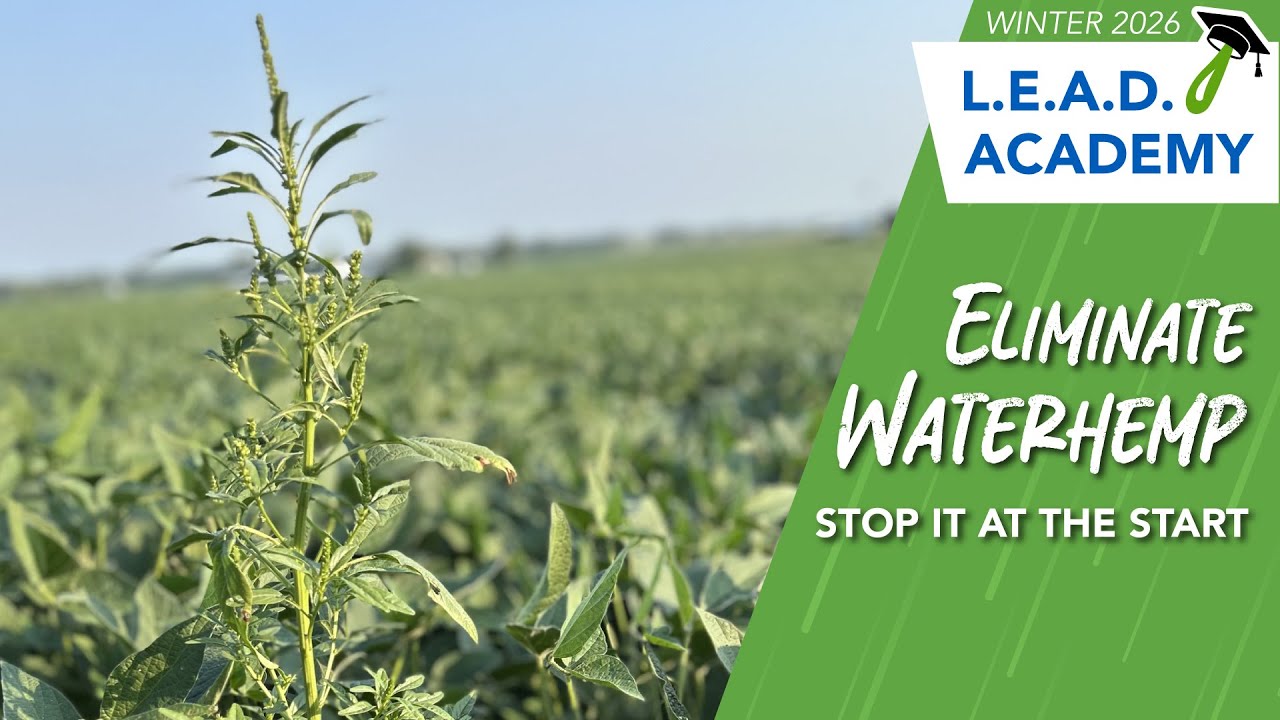 Waterhemp Control Tactics for your 2026 Crop