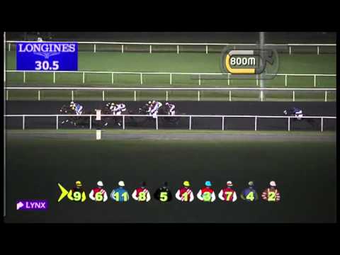 06.12.2012 Meydan (Dubai-UAE) 2.Race Hartog Cup -  1.200 m