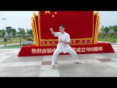 Chen Style TaiChi 42 Forms  | Authentic Chinese Tai Chi Master