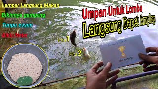 Download lagu Langsung Juara🔥Racikan Umpan Lomba Ikan Mas Super Ampuh \\ Juara Ikan Mas Terbanyak mp3