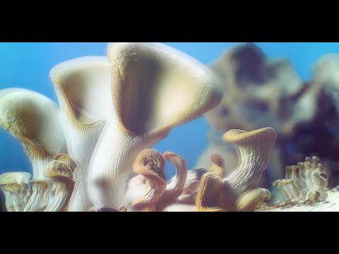 Stella McCartney Summer 2022 show