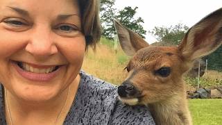 The Moment Animal Choose To Trust You 🤣 Cute Animal Videos 2025