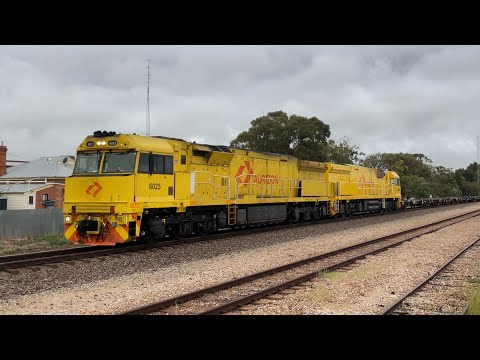 Trainspotting In Crystal Brook 13/10/22