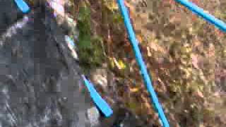 Download lagu Pemuda zaman sekarang mp3