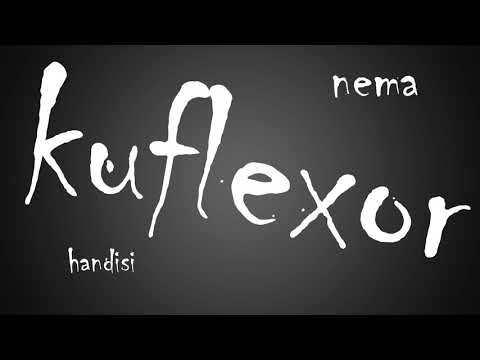 Schingy (Team Bhoo Boss) - MaHunnies (feat. Tonic) Official Lyric Video