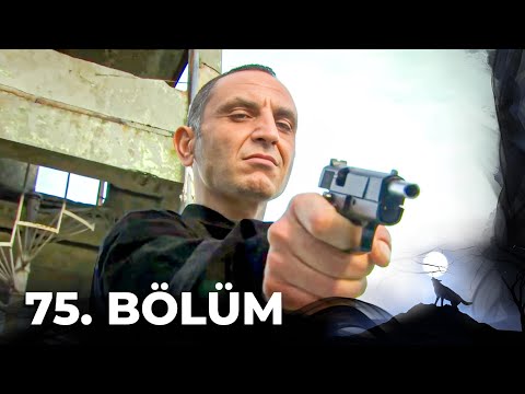 Kurtlar Vadisi Pusu - 75. Bölüm FULL HD