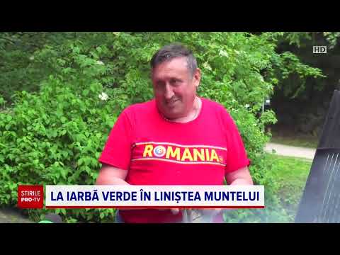 Reacția unui bărbat după ce a primit mesaj RO-Alert că în zonă a apărut un urs