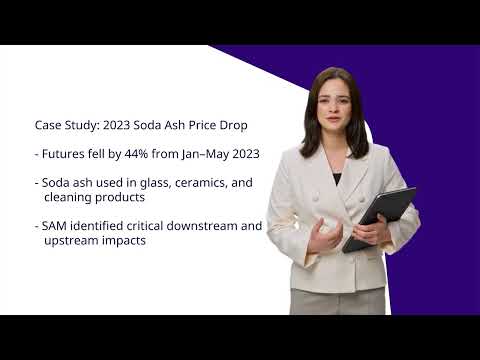 Mapping Industry Value Chains: Quantitative Insights with SAM Data