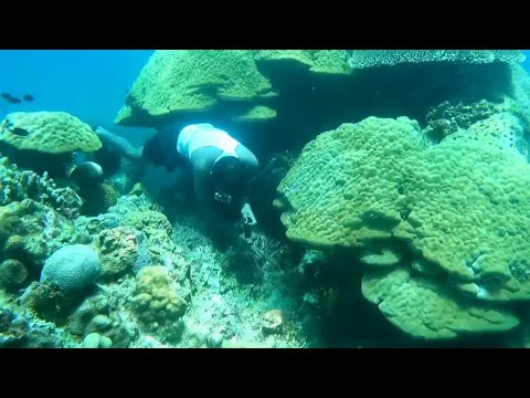 Ep.330p1 | Catch and Cook LAPU-LAPU at MANILAN-ON