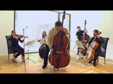 Edicson Ruiz - Bottesini, Concertino in C minor, live in Berlin