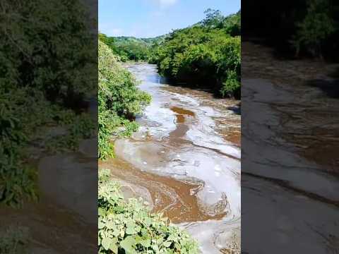 olha o que está matando os peixes do rio Suaçuí minas gerais #vidanaroça