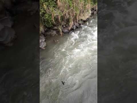 De paceo quebrada grande ceilan valle