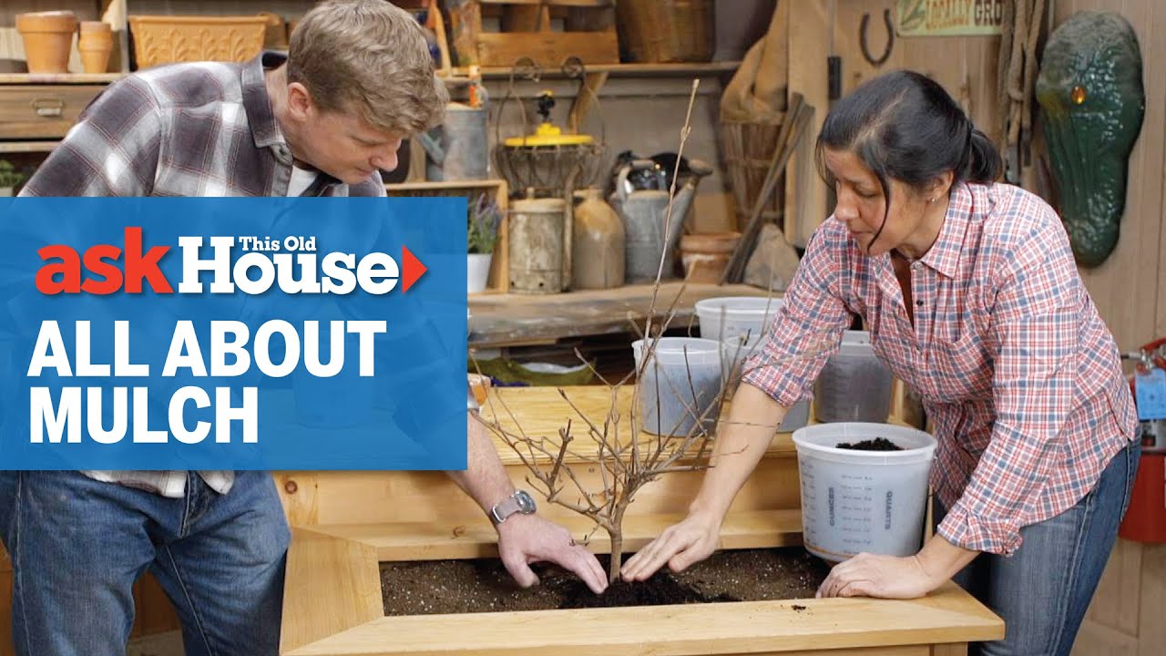 All About Mulch | Ask This Old House