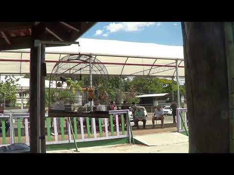 FEBRAPS 2019 - 4a. ETAPA - 1o. LUGAR SEM REPETIÇÃO - AVENTURA