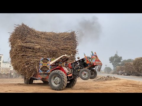 Massey 375Pulling Sugarcane Load Trolley From Yard 🤣😲