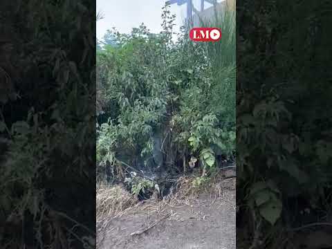 Héroes: una familia de Chos Malal evitó un incendio en Villa Traful