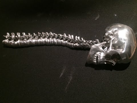 Aluminium Spine and Skull