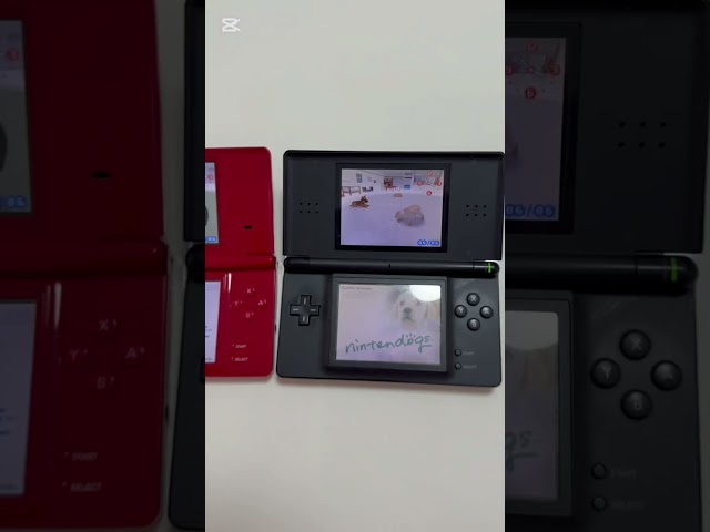 Vídeo relacionado con Nintendo DSi, DS lite - Fit4Fun Activity Pack [Importación alemana]