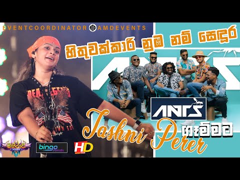 Hithuwakkari Nuba Nam Sondura (හිතුවක්කාරී නුඹ නම් සොඳුර)  ANTS With #Tashni Perera