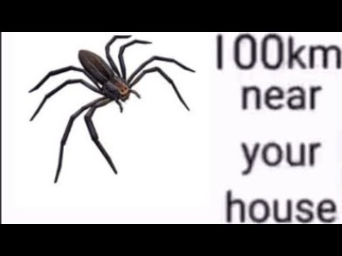 Empires of the undergrowth memes numbah 3