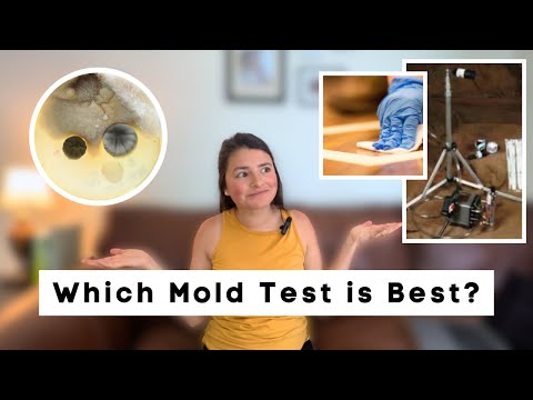 Which MOLD TEST should you use to test your home? ERMI, Air Sampling, & Test Plates