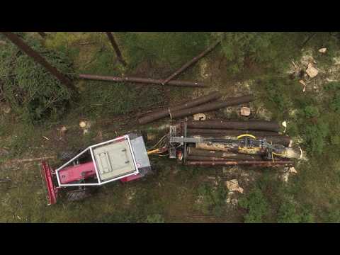 Välkommen till Forester!