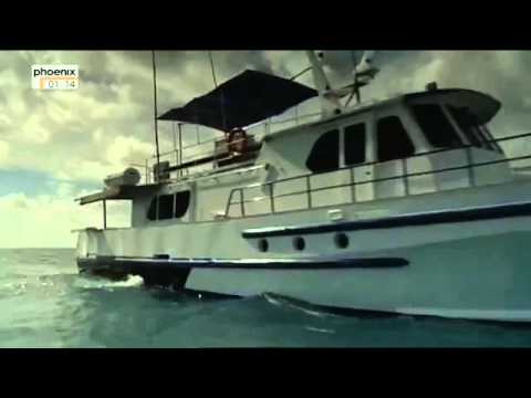 Steffens entdeckt Australien   Der giftige Kontinent Doku über Australien Teil 2