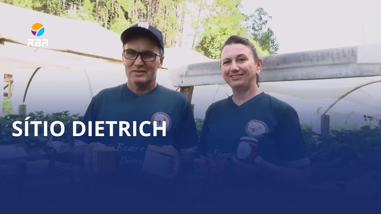 Um sítio, muitos sabores e uma nova vida 🍓🍯