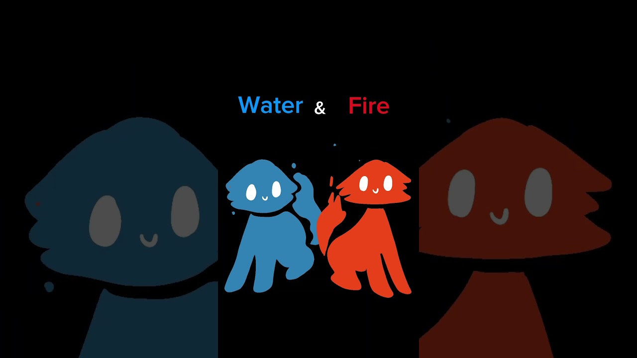 EVERY BEST FRIEND DUO HAS…