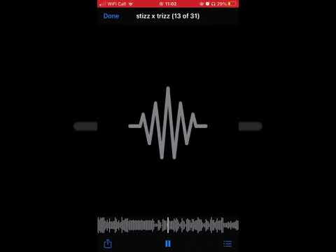 stizz x trizz   NoHook