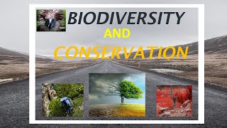 Biodiversity and Conservation