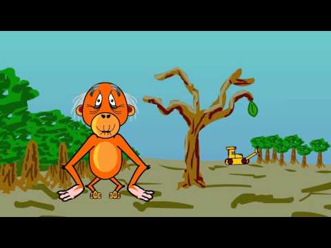 Animal Opinions - MY ENVIRONMENT MY FILM