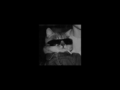 𝙉𝙖𝙨 𝙙𝙖𝙮𝙧𝙖 𝙩𝙖𝙬𝙞𝙡 [𝙎𝙇𝙊𝙒𝙀𝘿+𝙍𝙀𝙑𝙀𝙍𝘽]