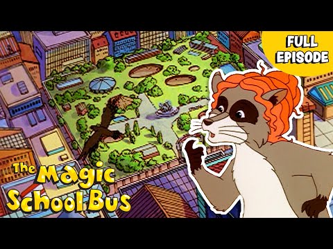 In the City | City Animals | Habitats | Full Episode | The Magic School Bus