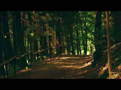 VLY - Vucu Ni Tauvu ft. Ruci Tuiwai (Nadro Kei Kadavu) [DJ GABBY REMIX]