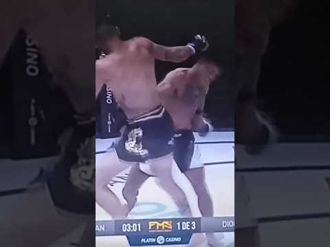 Rafael Miniman vs Diogo Pink #mma #fms