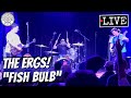 The Ergs! "Fish Bulb" LIVE