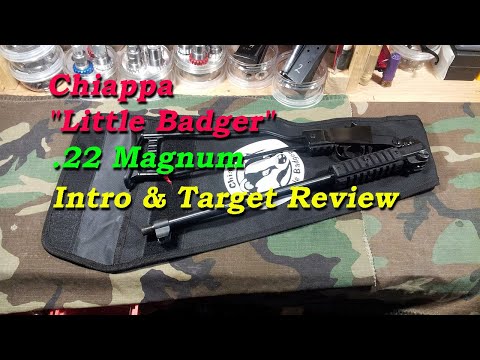 Chiappa .22 Mag Intro & Target Review.