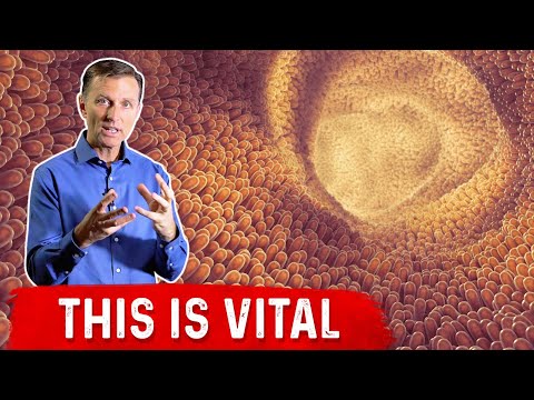 The Importance Of The Intestinal Mucosal Barrier Explained By Dr.Berg